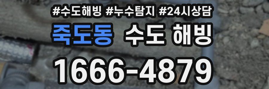 죽도동 수도 해빙