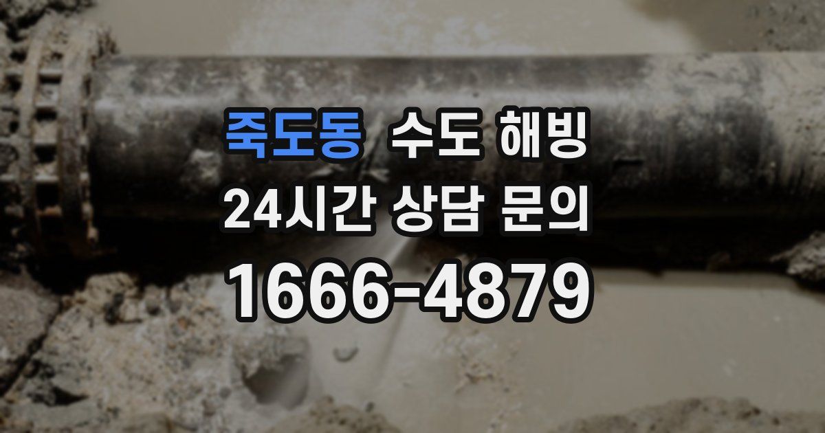 죽도동 수도 해빙