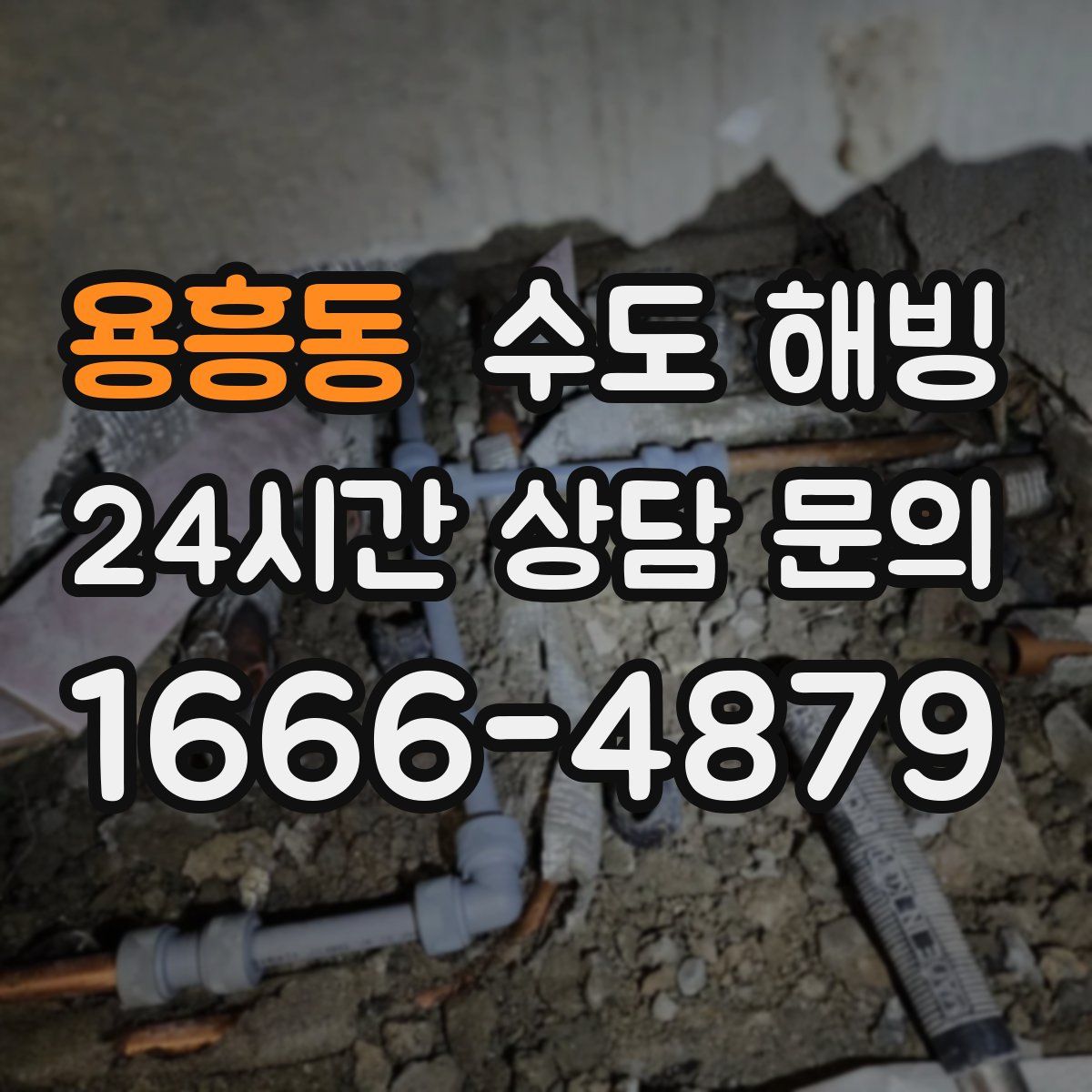 용흥동 수도 해빙