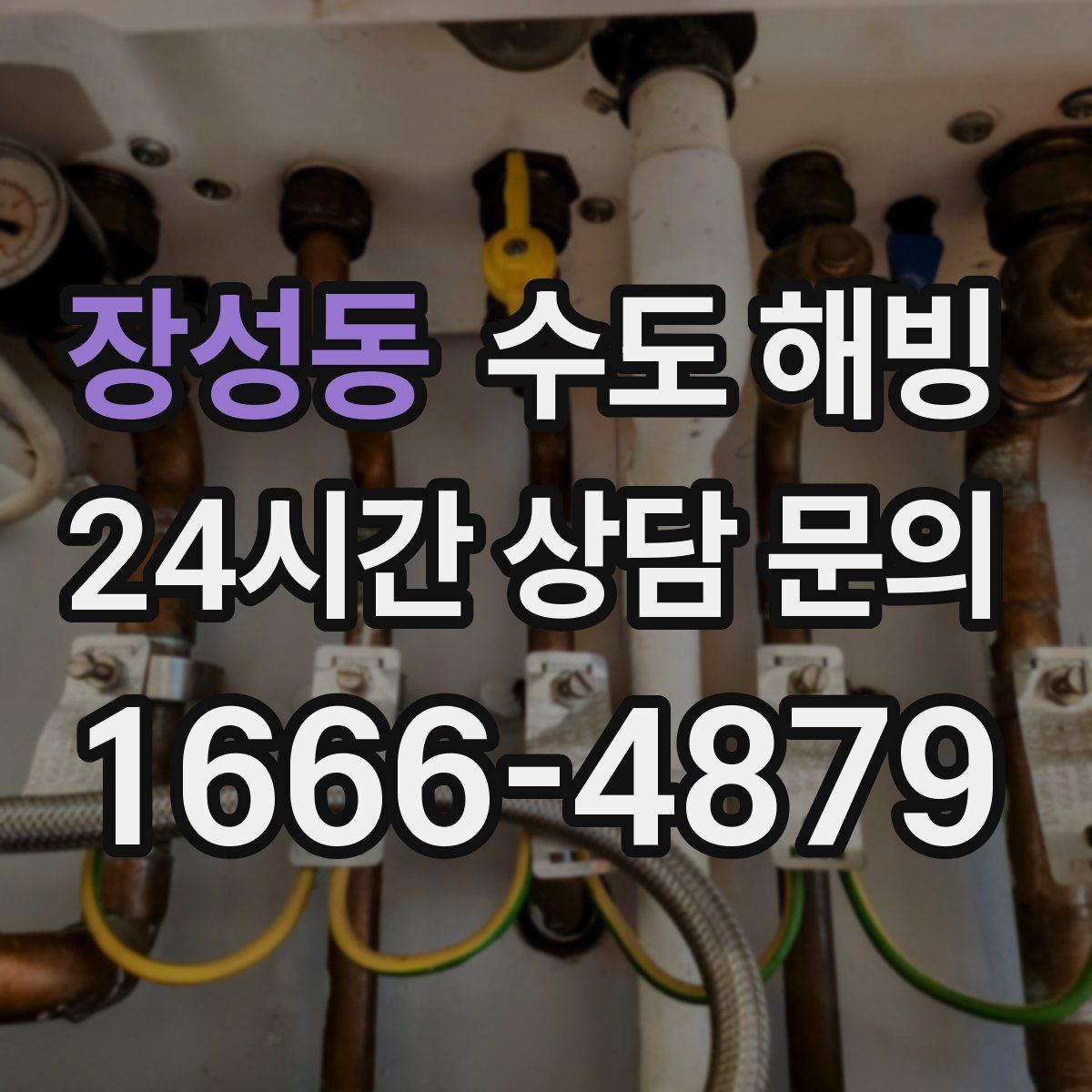 장성동 수도 해빙