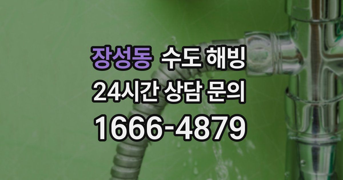 장성동 수도 해빙