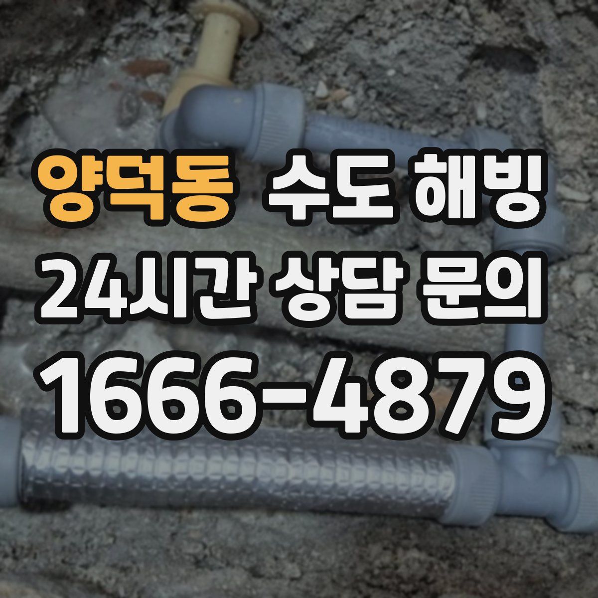 양덕동 수도 해빙