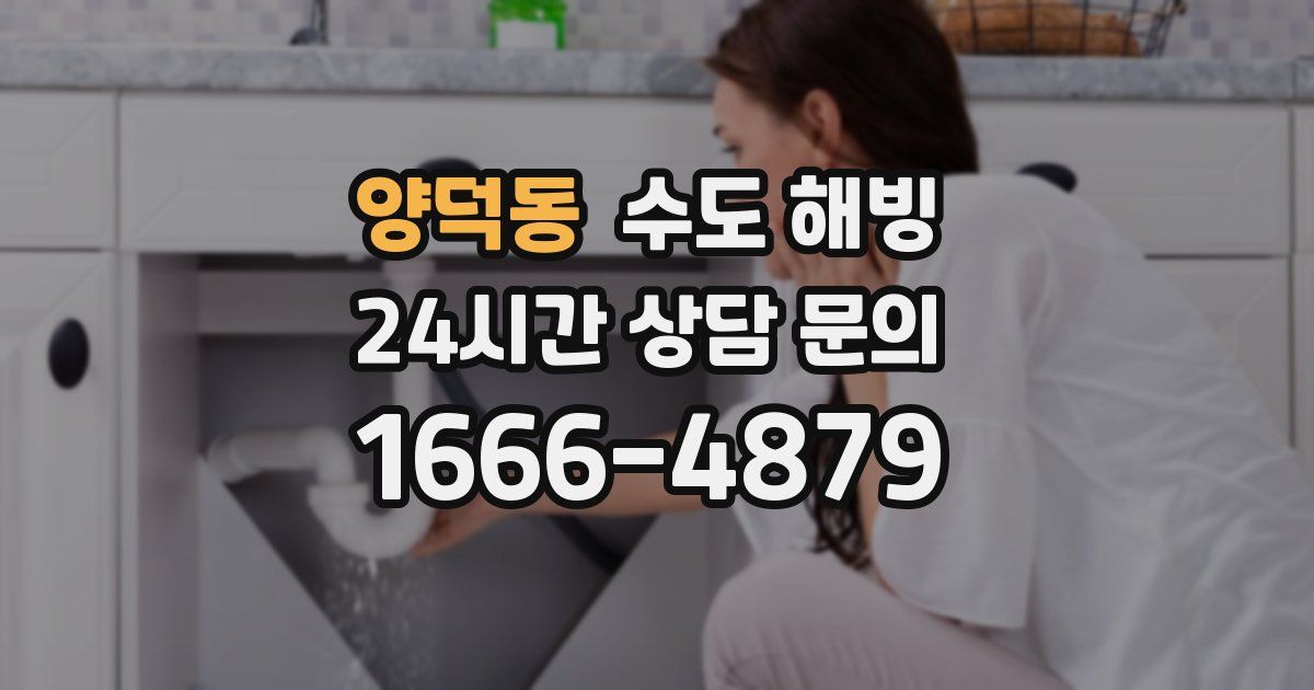 양덕동 수도 해빙