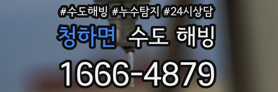 청하면 수도 해빙