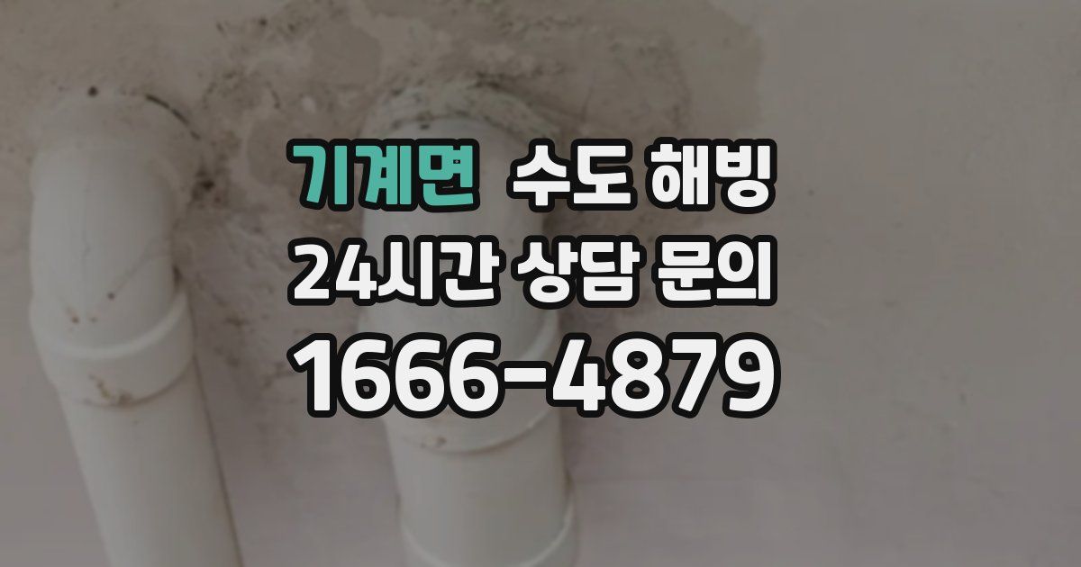 기계면 수도 해빙