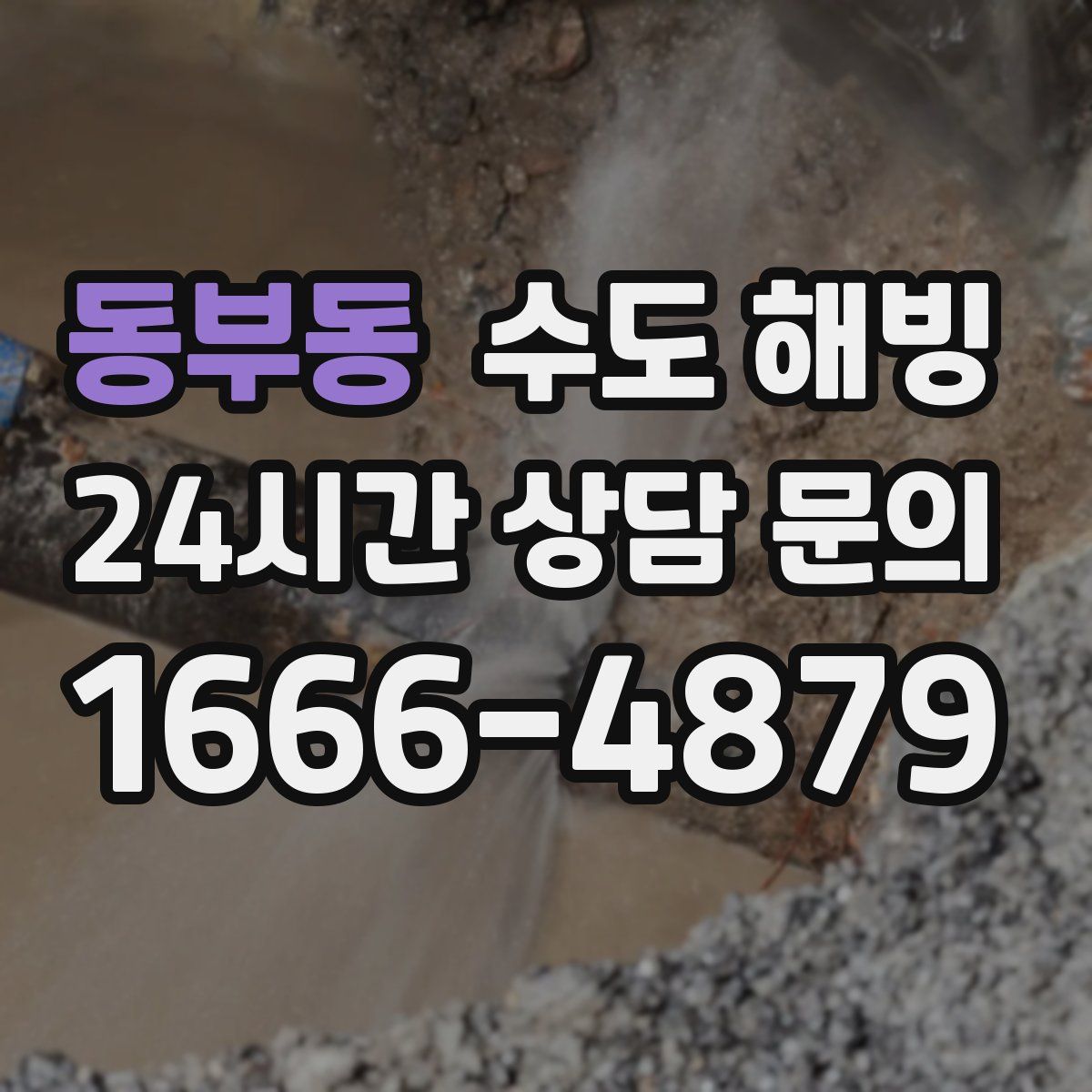 동부동 수도 해빙