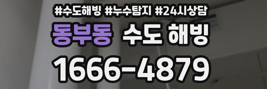 동부동 수도 해빙