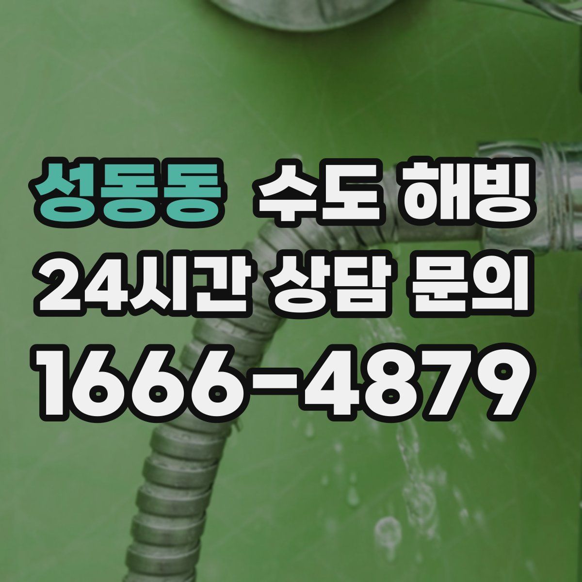 성동동 수도 해빙