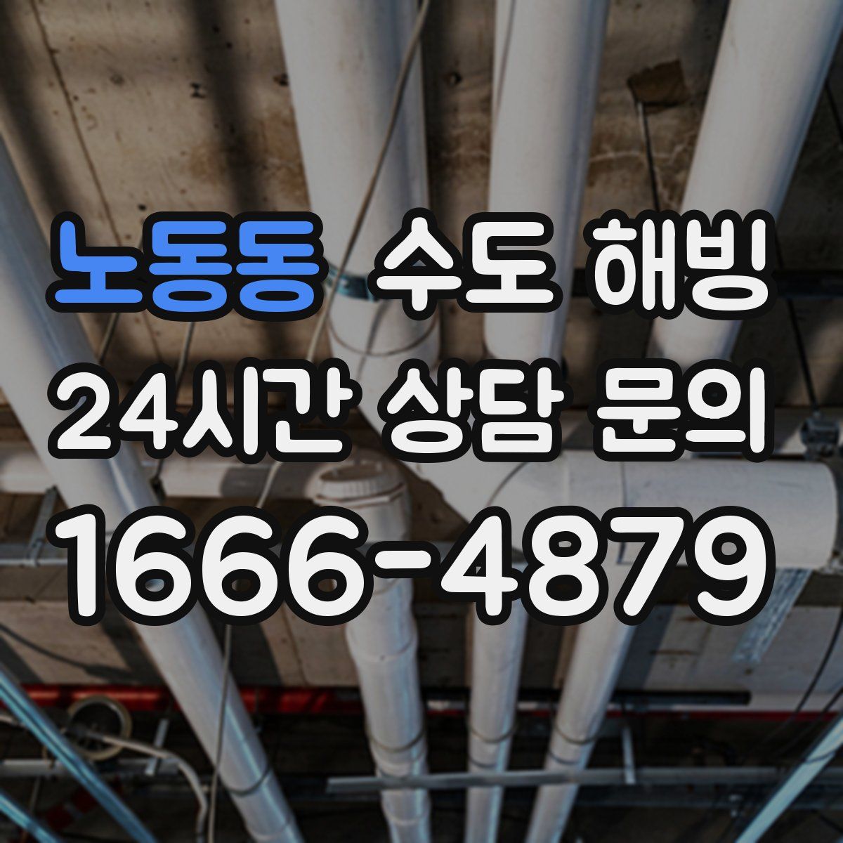 노동동 수도 해빙