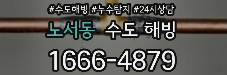 노서동 수도 해빙