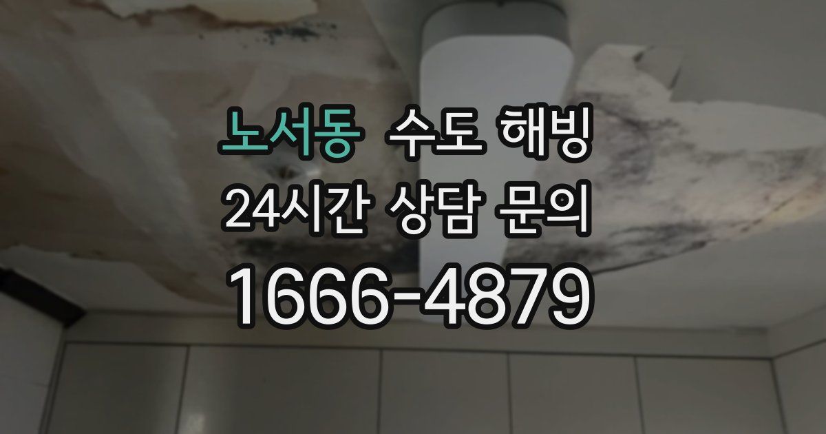 노서동 수도 해빙