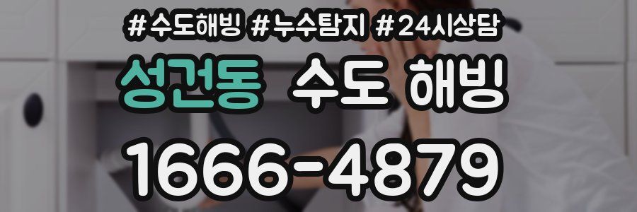 성건동 수도 해빙