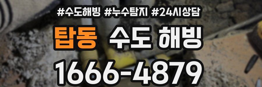 탑동 수도 해빙