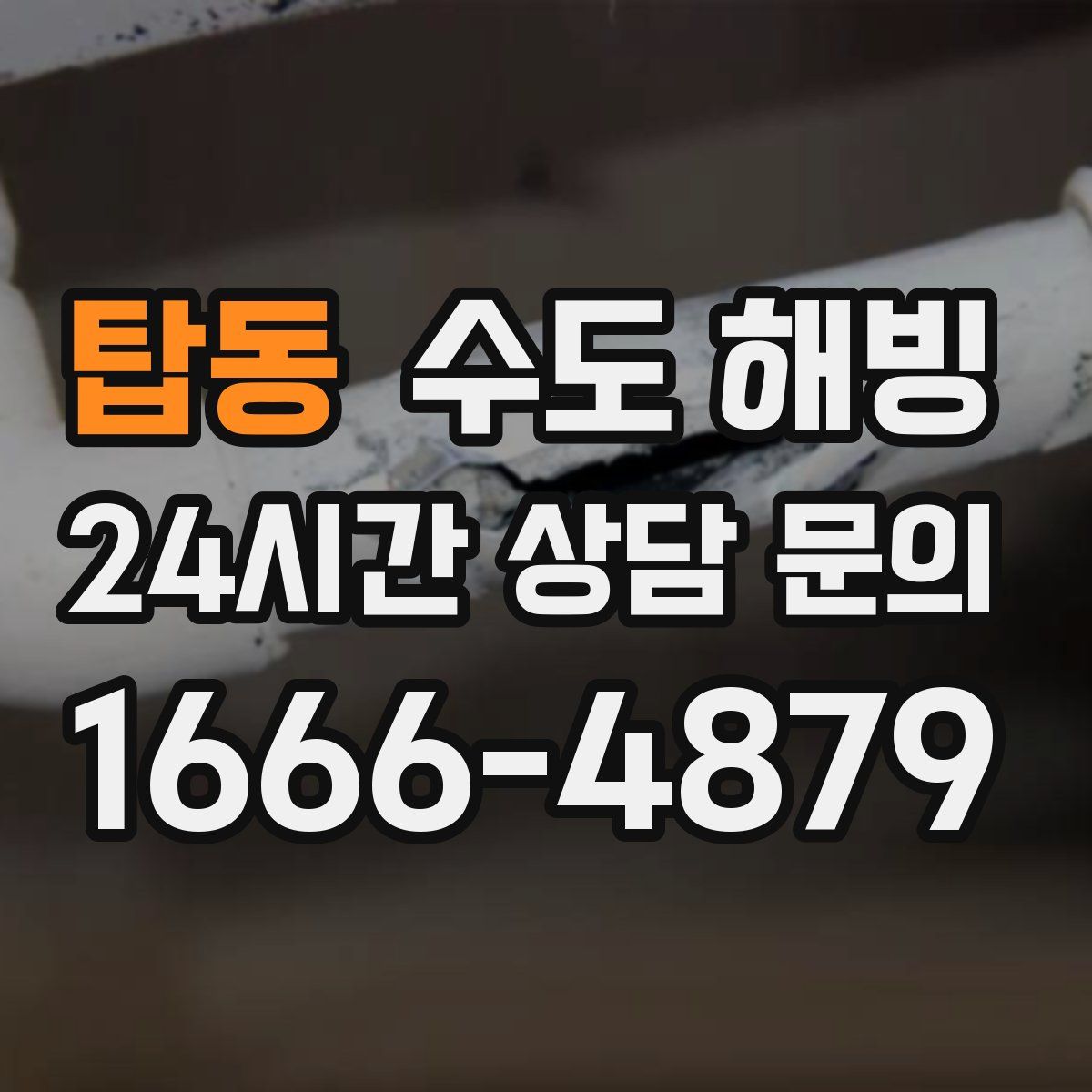 탑동 수도 해빙