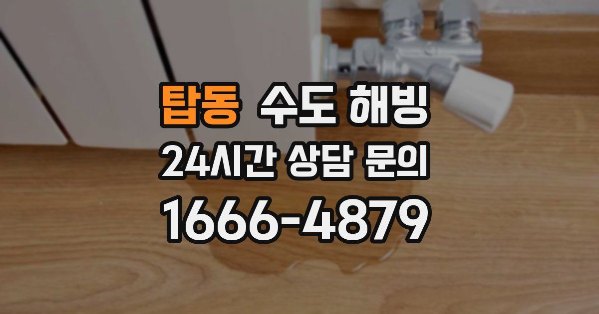 탑동 수도 해빙