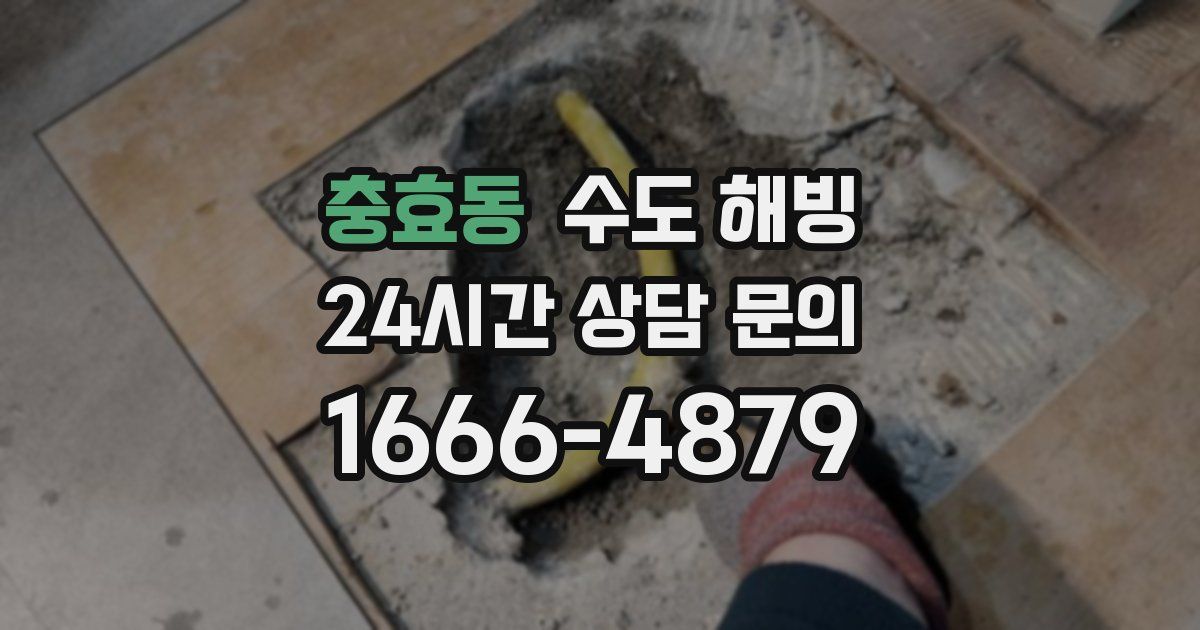 충효동 수도 해빙