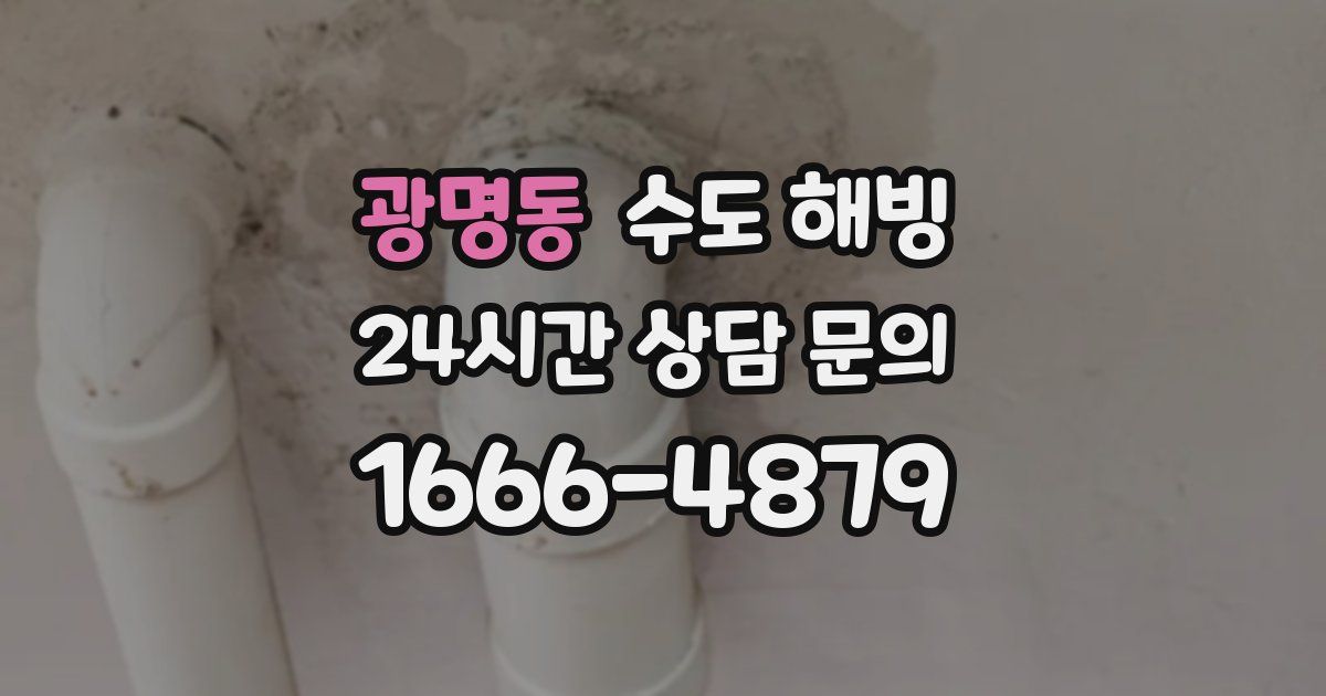 광명동 수도 해빙