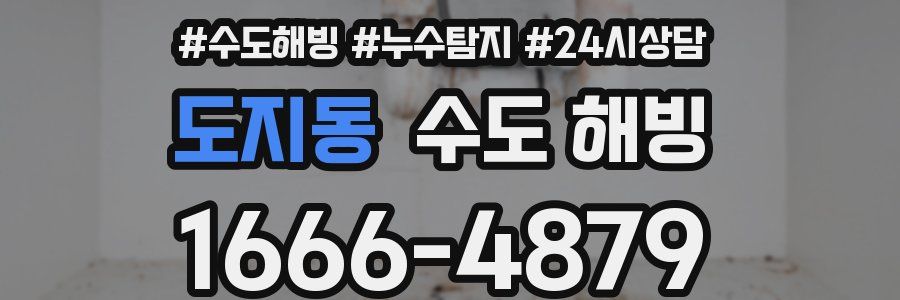 도지동 수도 해빙