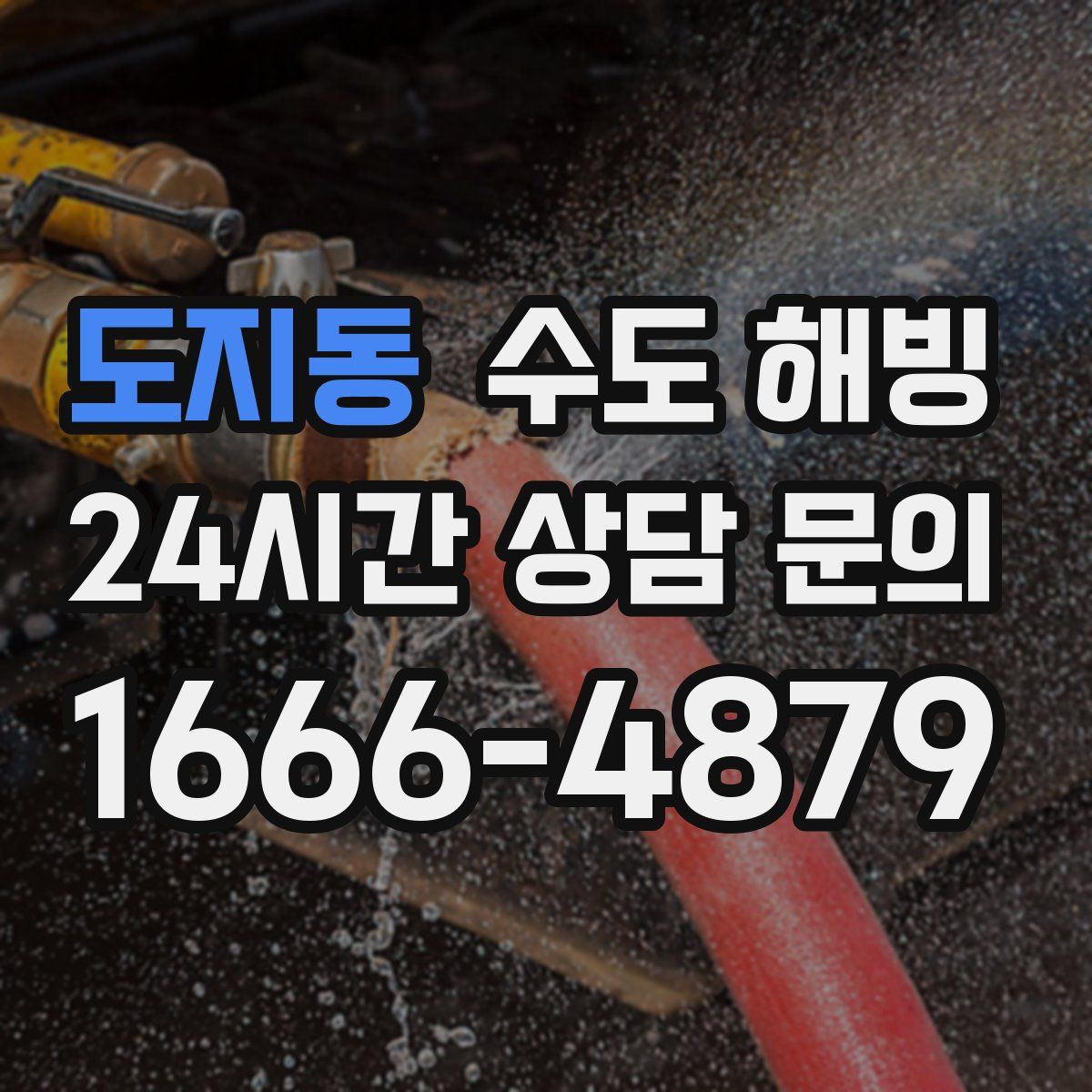 도지동 수도 해빙