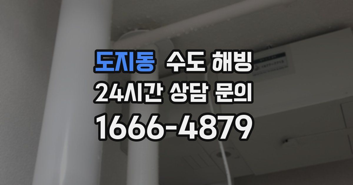 도지동 수도 해빙