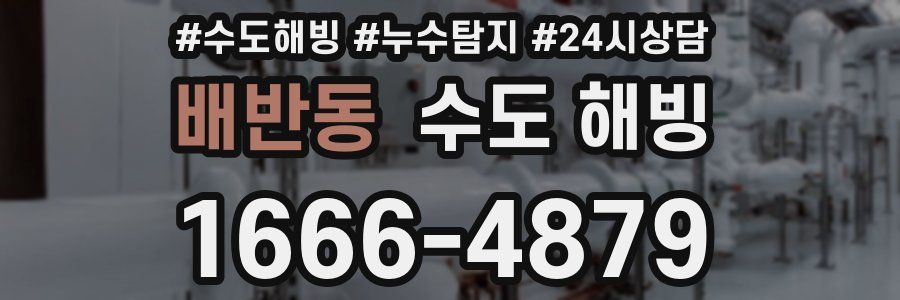 배반동 수도 해빙