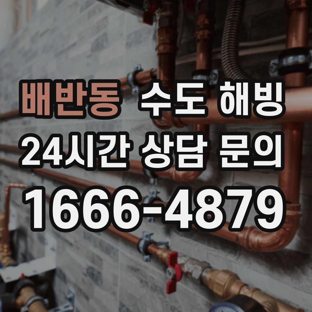 배반동 수도 해빙