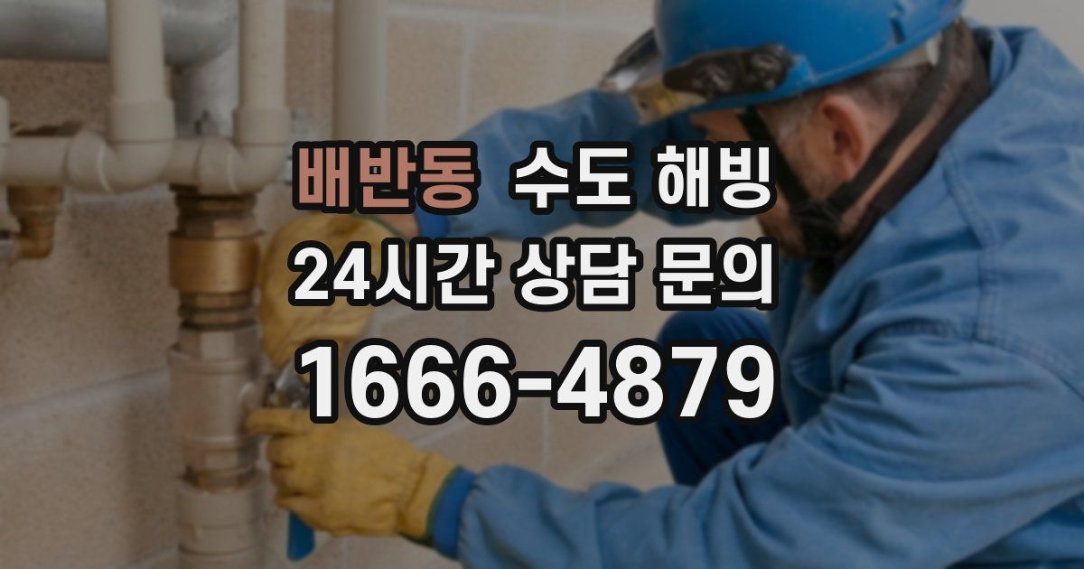 배반동 수도 해빙