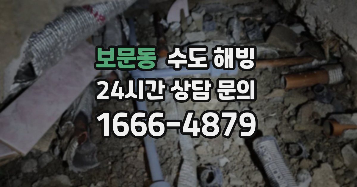 보문동 수도 해빙