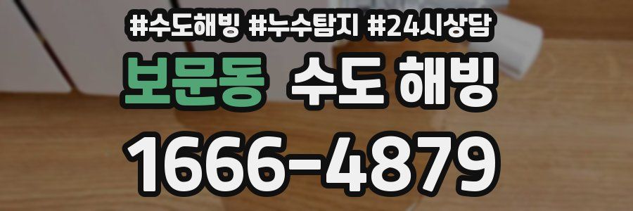 보문동 수도 해빙