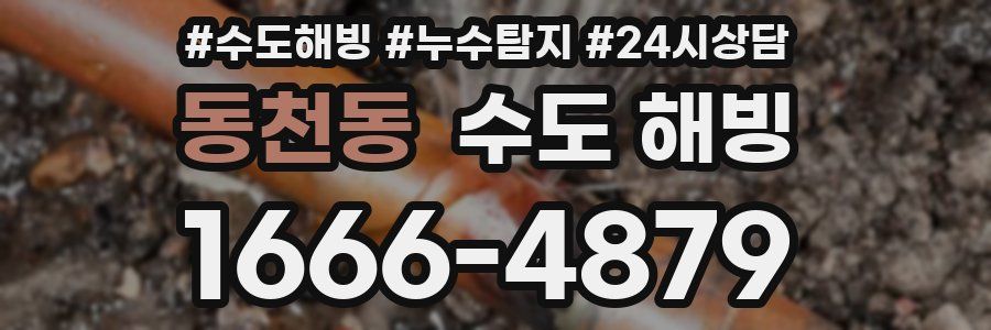 동천동 수도 해빙