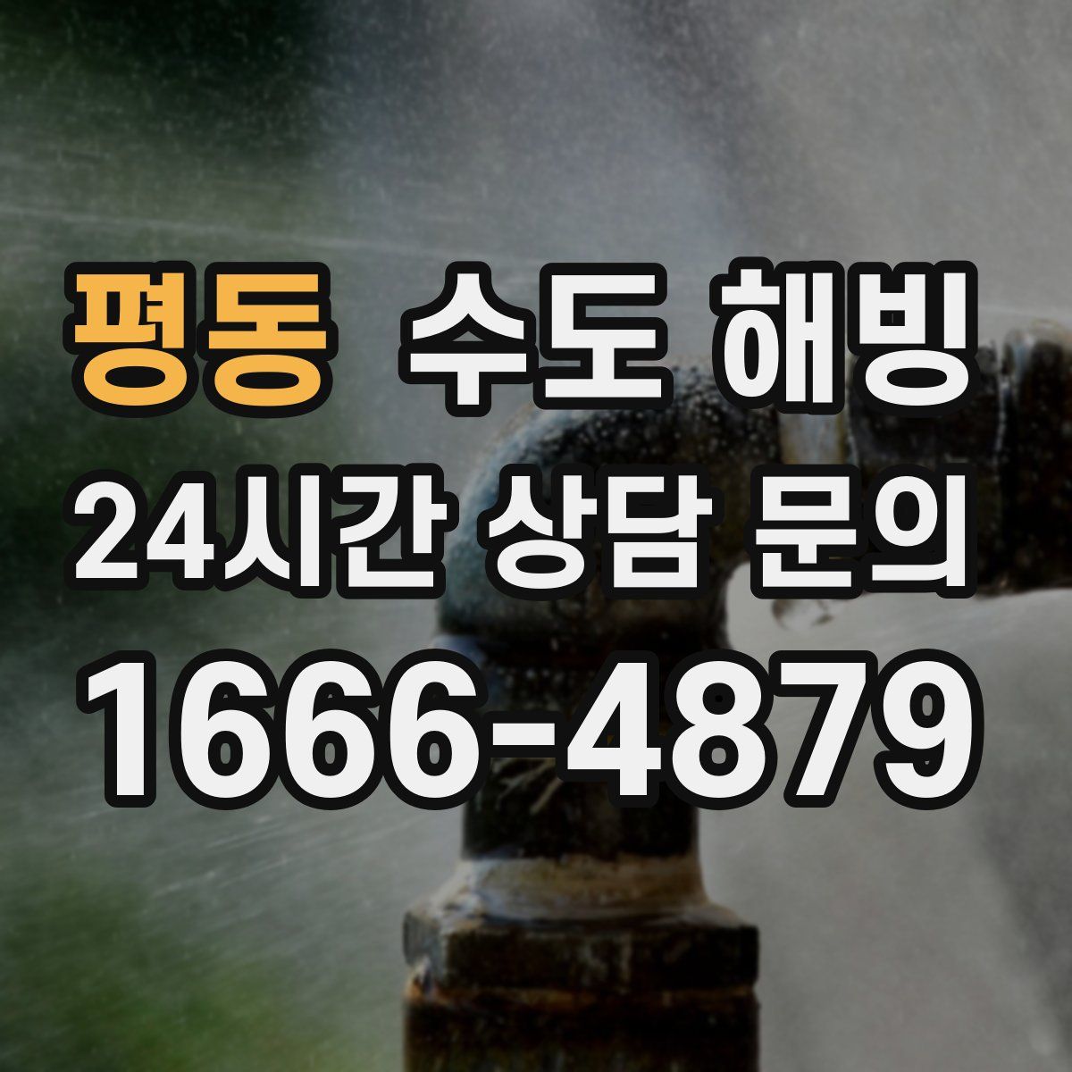 평동 수도 해빙