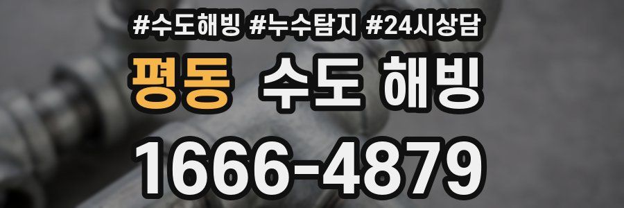 평동 수도 해빙