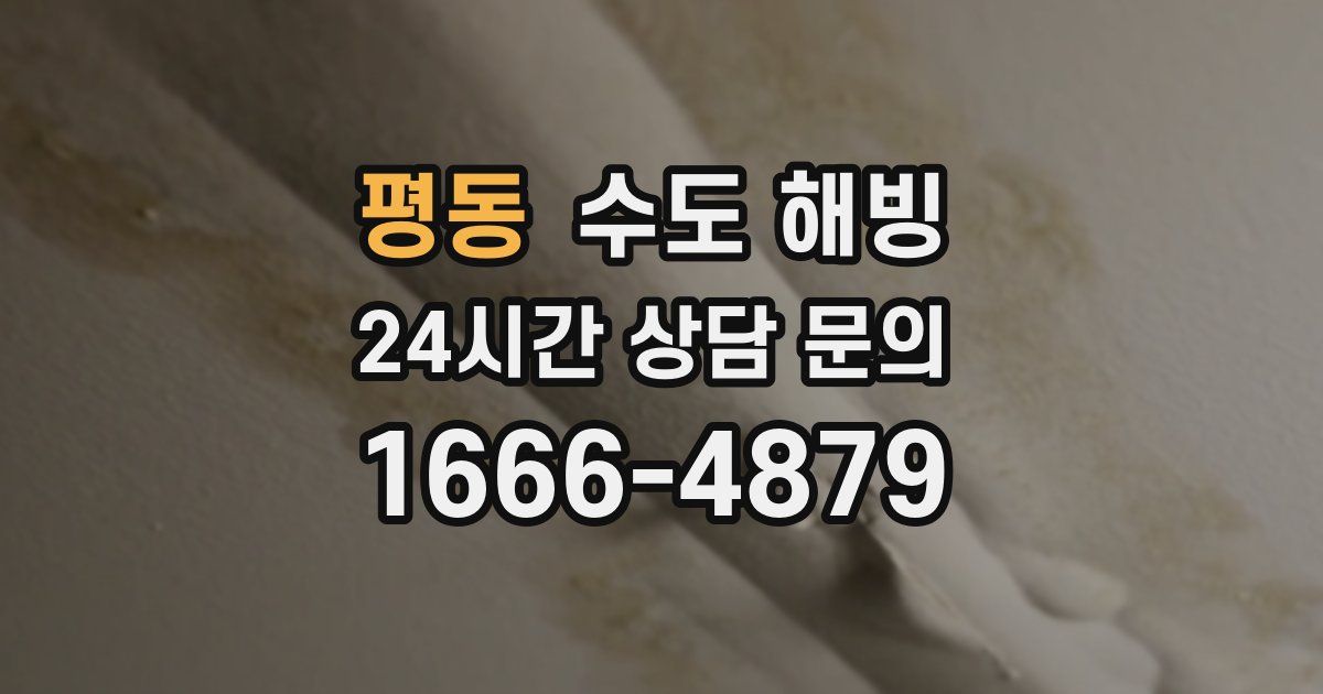 평동 수도 해빙