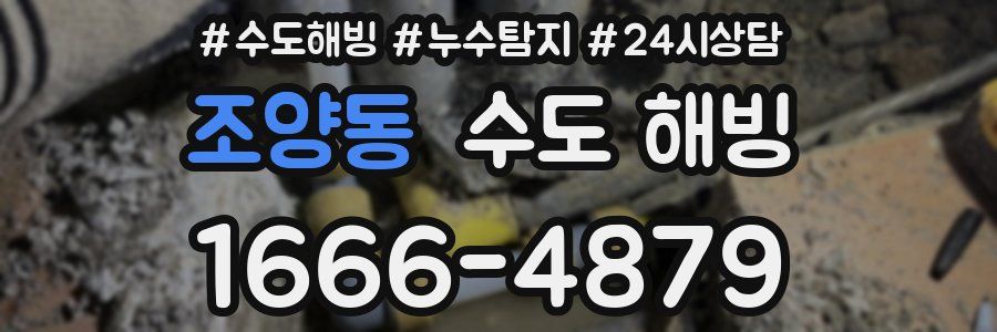 조양동 수도 해빙