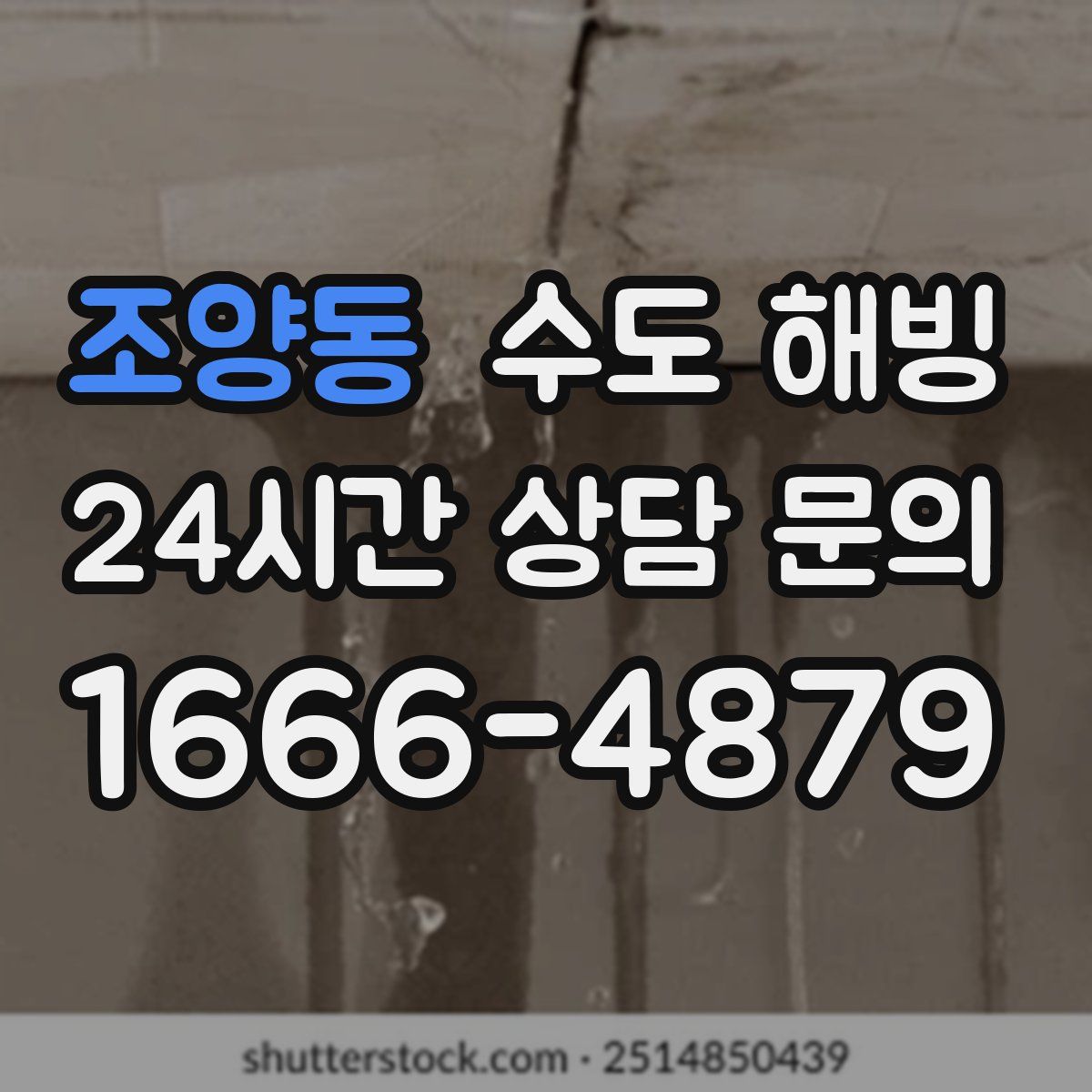 조양동 수도 해빙