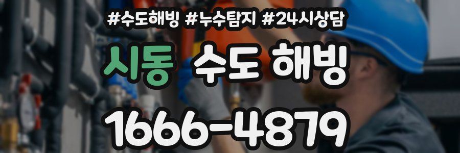 시동 수도 해빙