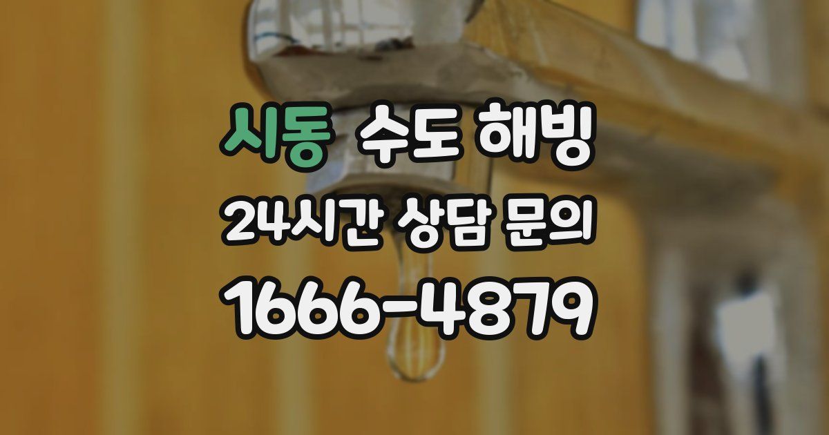 시동 수도 해빙