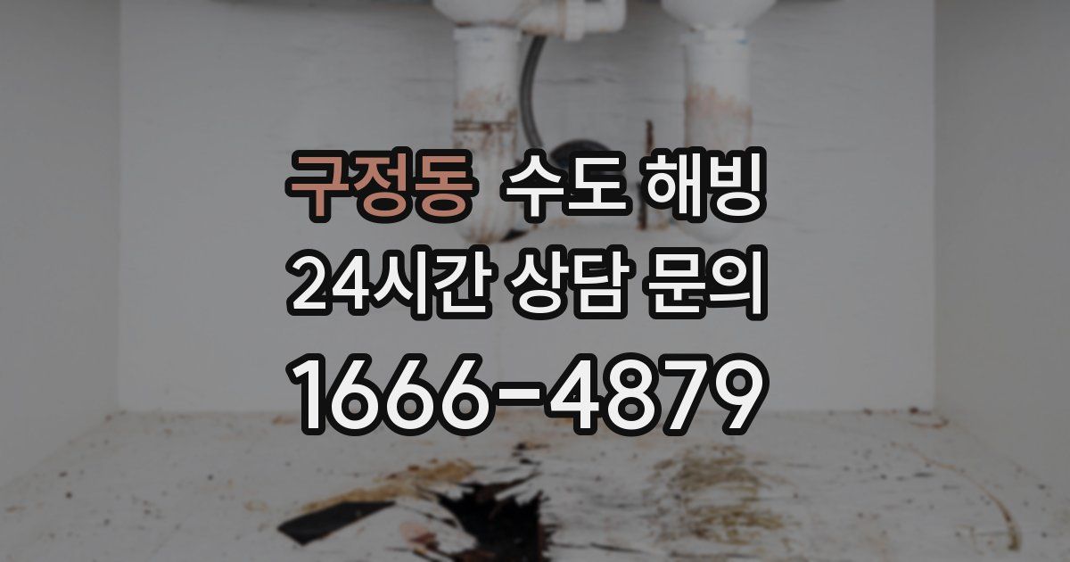 구정동 수도 해빙