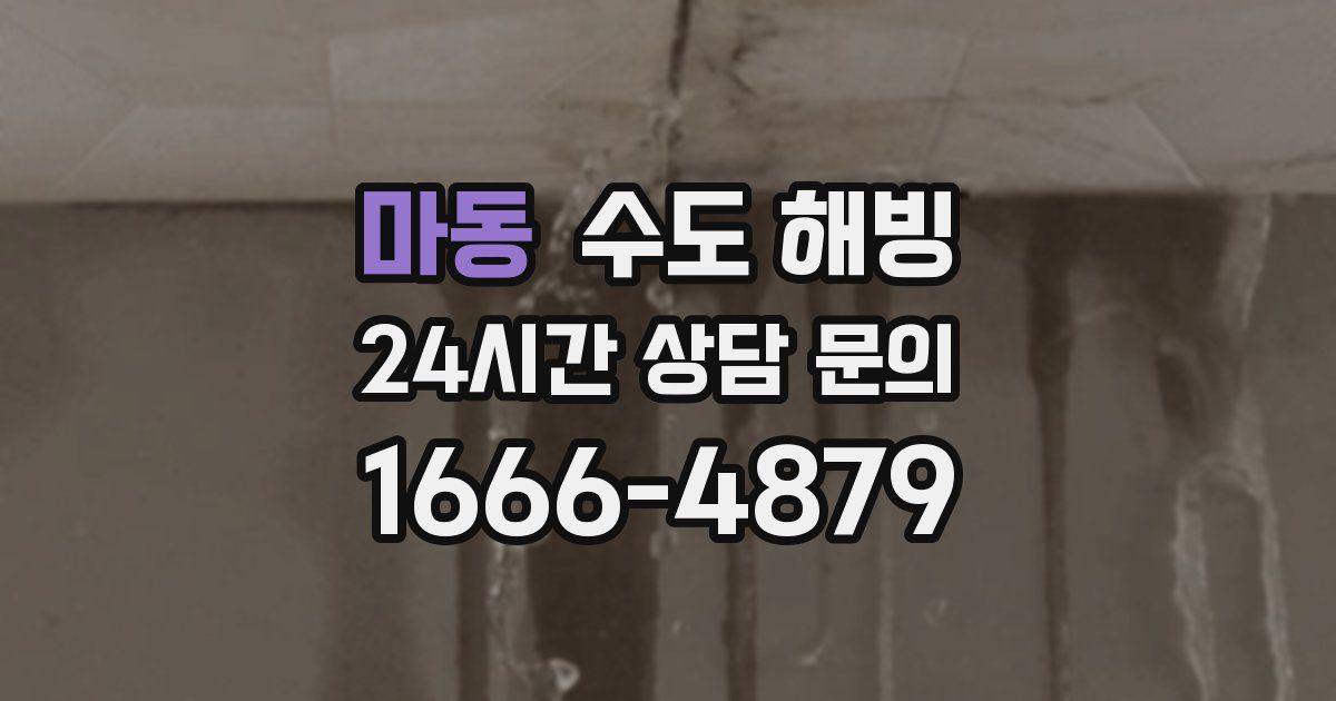 마동 수도 해빙