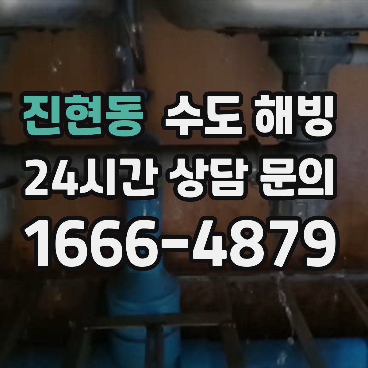 진현동 수도 해빙