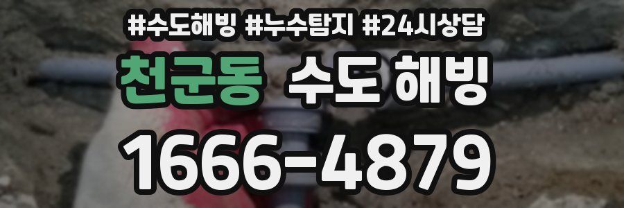 천군동 수도 해빙