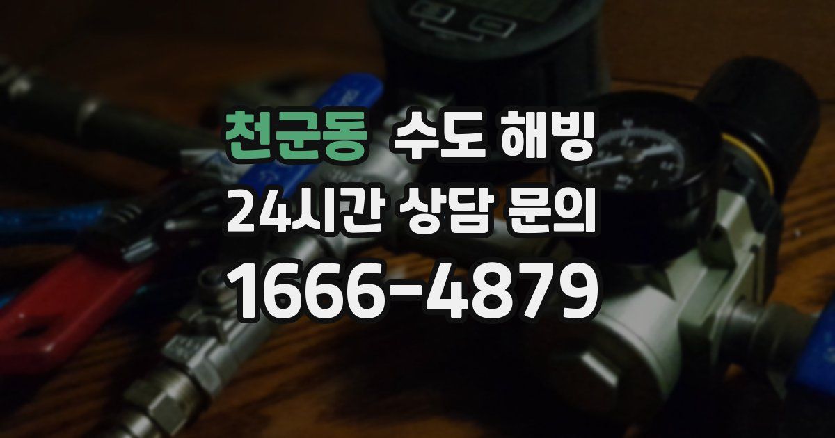 천군동 수도 해빙