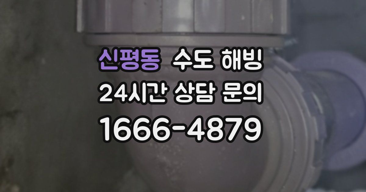 신평동 수도 해빙
