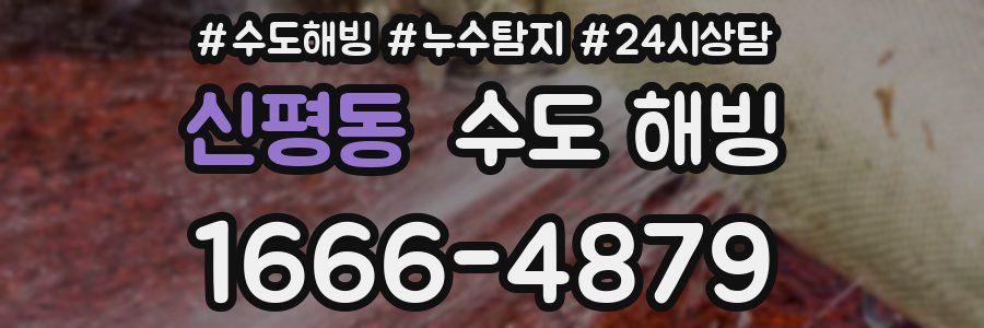 신평동 수도 해빙