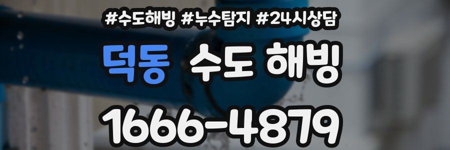 덕동 수도 해빙