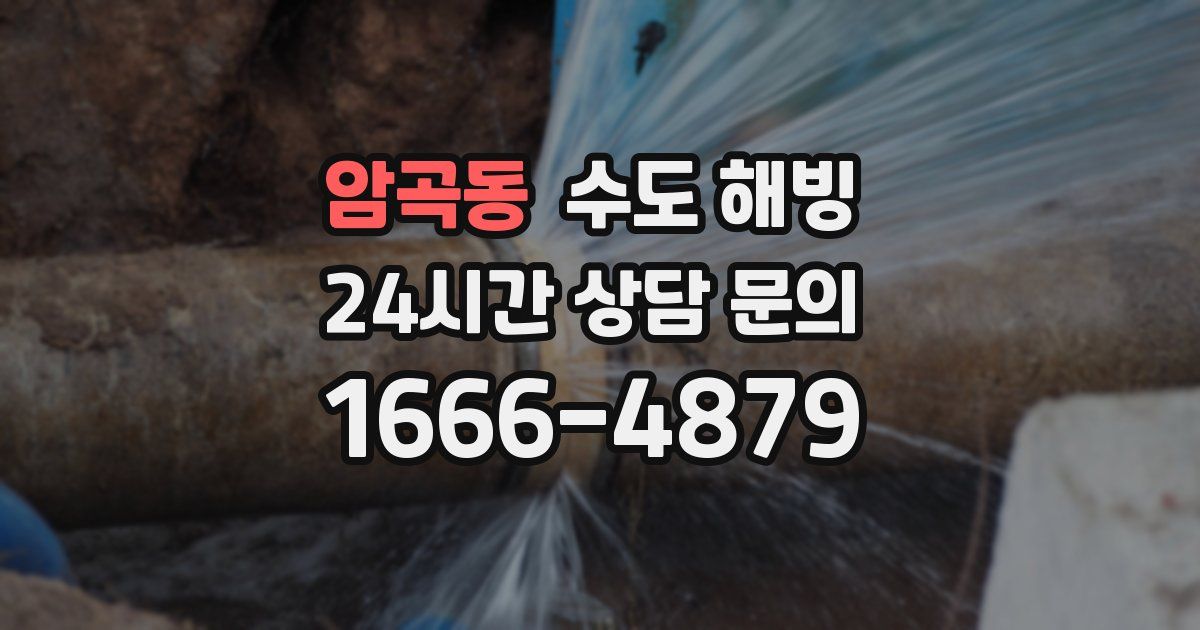 암곡동 수도 해빙