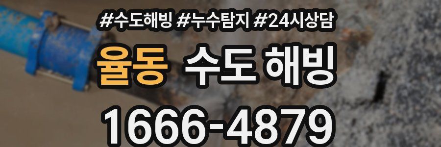 율동 수도 해빙