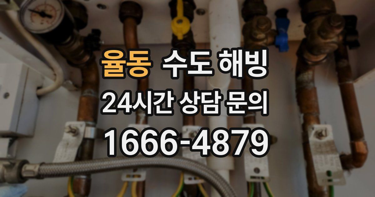 율동 수도 해빙