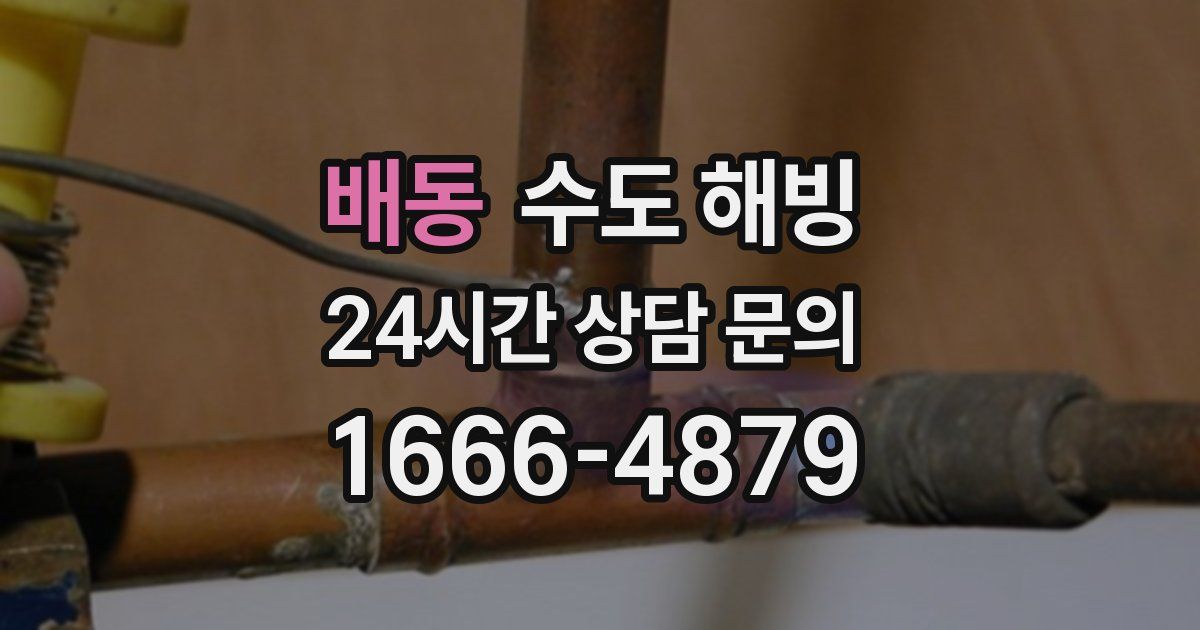 배동 수도 해빙