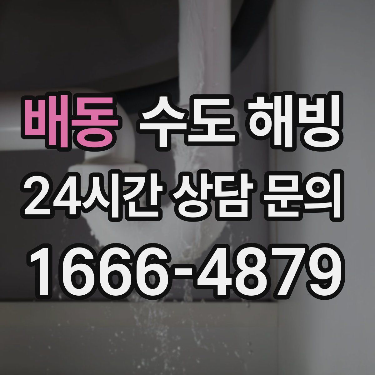 배동 수도 해빙